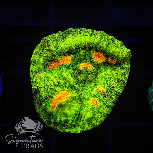 Space Invader Chalice