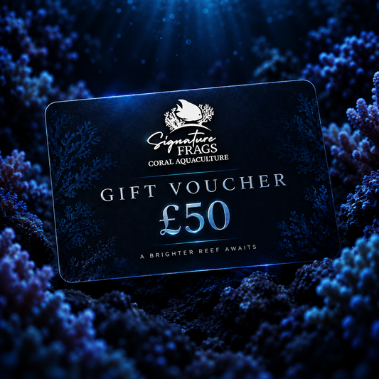 Signature Frags Gift Voucher