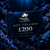 £200.00