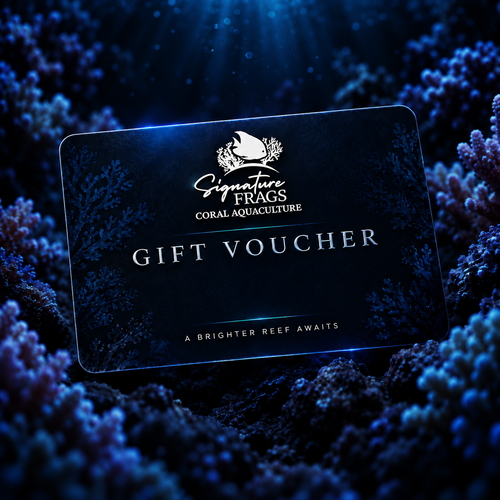 Signature Frags gift voucher with blue reef artwork, without a printed denomination